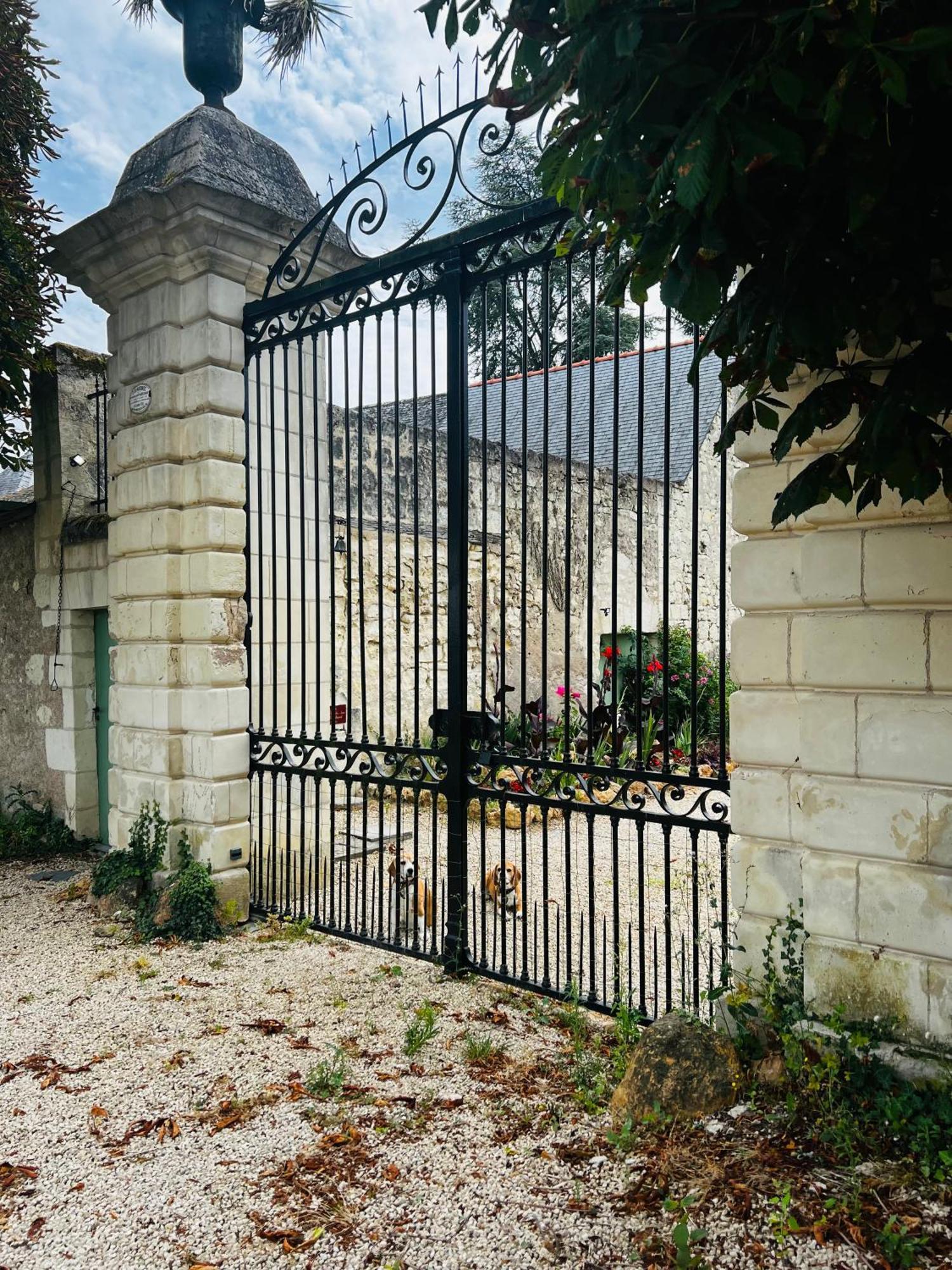 Chateau De La Thibaudiere Bois Savary - Chambre Familiale Du Roi Allonnes  Екстериор снимка