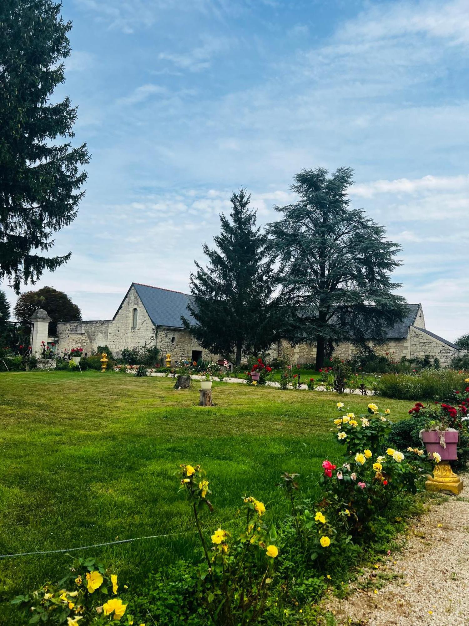Chateau De La Thibaudiere Bois Savary - Chambre Familiale Du Roi Allonnes  Екстериор снимка